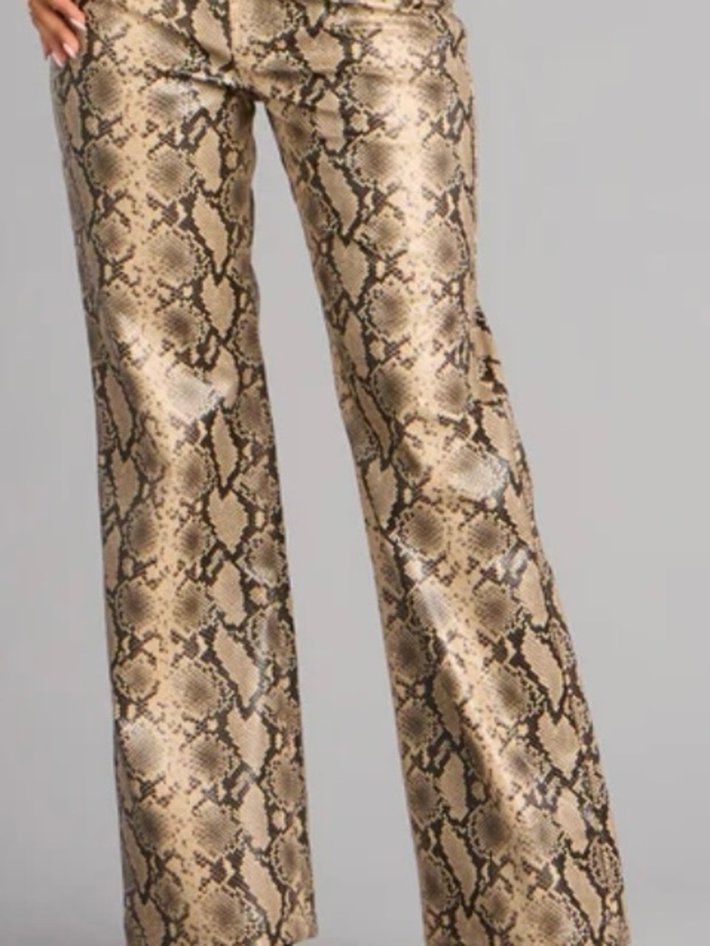 Windsor Wild Intent Snake Print Pants